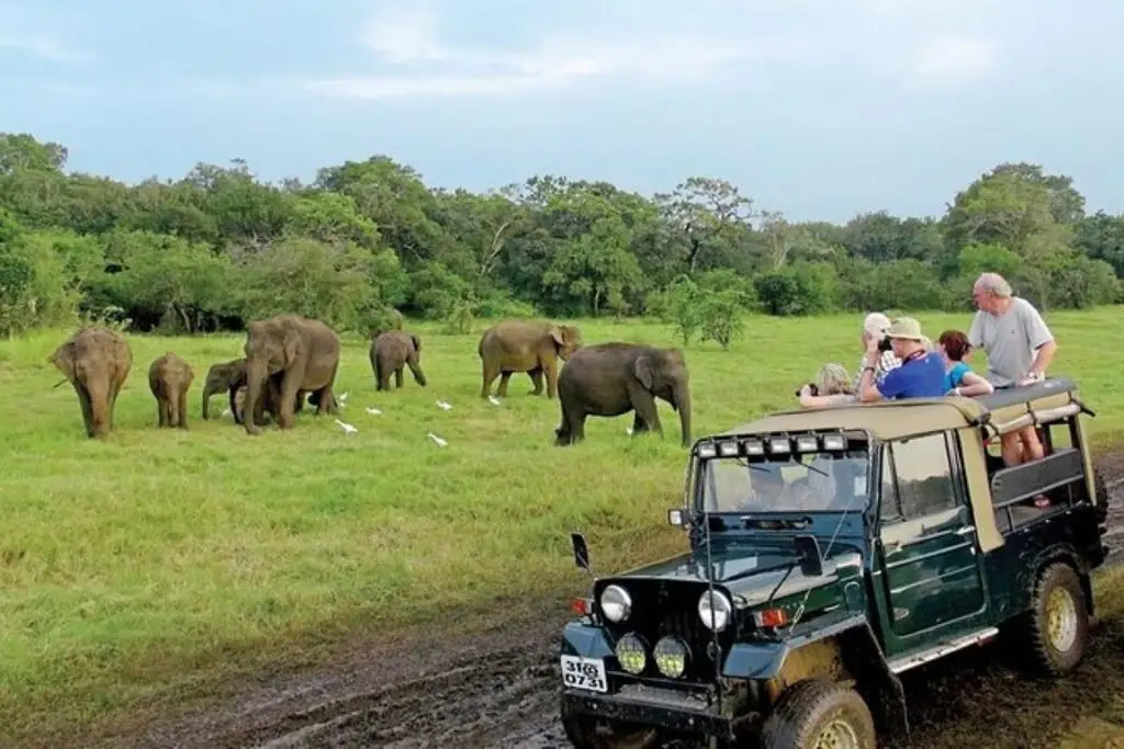 Ceylon Family Adventure