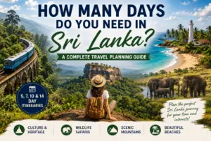 Sri Lanka travel guide featuring scenic mountains, a train journey, elephants, Sigiriya Rock and tropical beaches